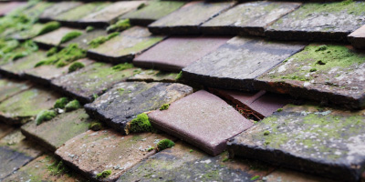 Bodedern roof repair costs